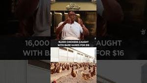 Video post by @Club Shay Shay on YouTube