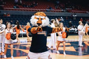 Image post by @aubiethetiger01 on Instagram