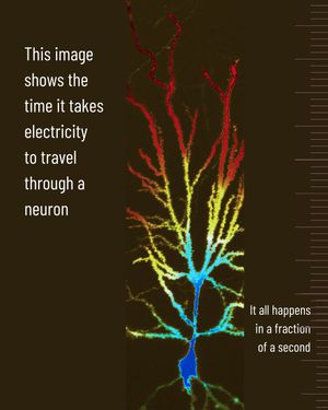 Image post by @biohub on Instagram