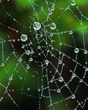 Image post by @discovery on Instagram