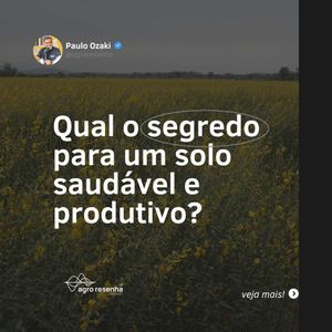 Image post by @agroresenha on Instagram