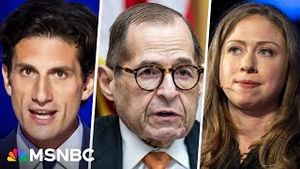 Video post by @msnbc on YouTube
