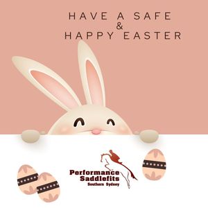 Image post by @performancesaddlefitssthsydney on Instagram