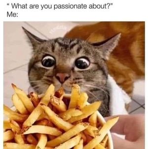 Image post by @introvertsays.in on Instagram