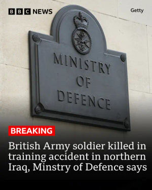 Image post by @bbcnews on TikTok