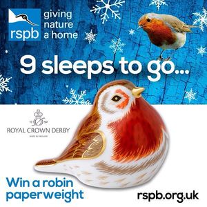 Image post by @rspb on Instagram