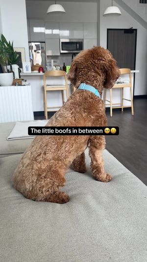 Video post by @tedflixnchill on TikTok