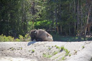 Image post by @madelinemacaulaymedia on Instagram