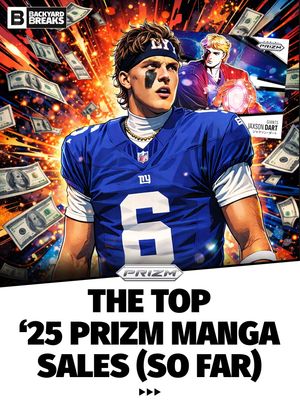 Image post by @backyardbreaks on Instagram