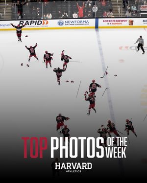 Image post by @harvardcrimson on Instagram