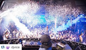 Image post by @marqueelv on Instagram