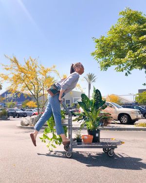 Image post by @Lowes on Twitter