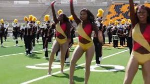 Video post by @fact12 on YouTube