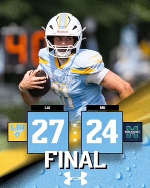 Image post by @liusharksfb on Instagram