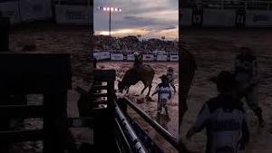 Video post by @pbr on YouTube