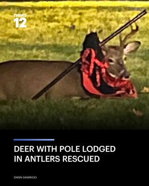 Image post by @news12nj on Instagram
