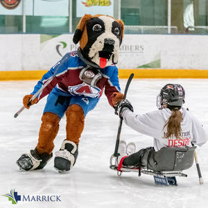 Image post by @DawgsHockey on Twitter