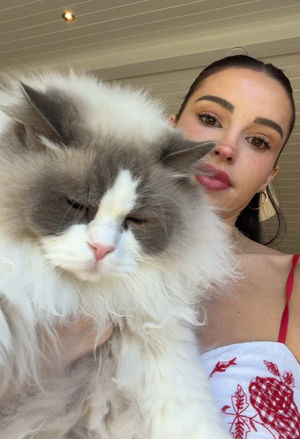Video post by @lyssielooloo on TikTok