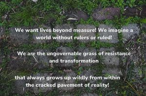 Image post by @green.anarchist on Instagram