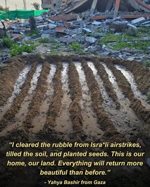 Image post by @green.anarchist on Instagram