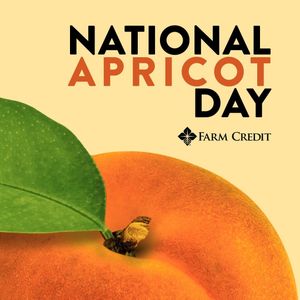 Image post by @farmcredit on Instagram