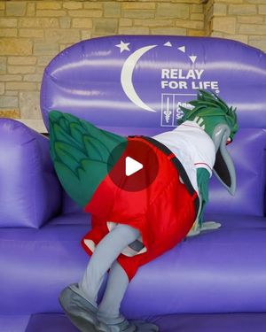 Image post by @greatlakesloons on Instagram