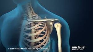 Video post by @nucleusmedicalmedia on YouTube