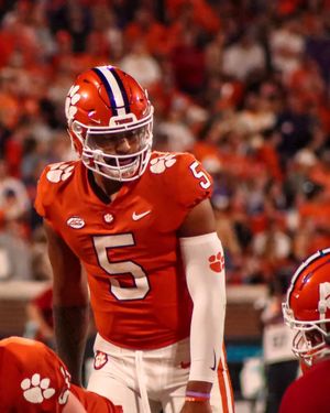 Image post by @cutigervision on Instagram