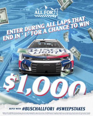 Image post by @BuschBeer on Twitter