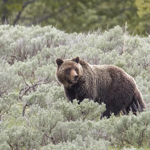 Image post by @foxweather on Instagram