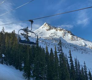 Image post by @skicrestedbutte on Instagram