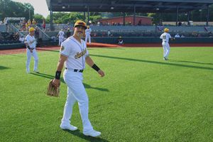 Image post by @gohoneyhunters on Twitter