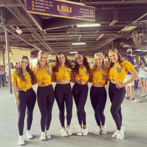 Image post by @lsutigergirls on Instagram