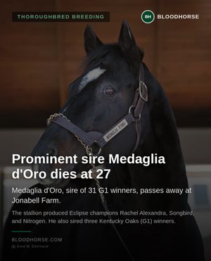 Image post by @thebloodhorse on Instagram