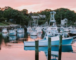 Image post by @themainemag on Instagram