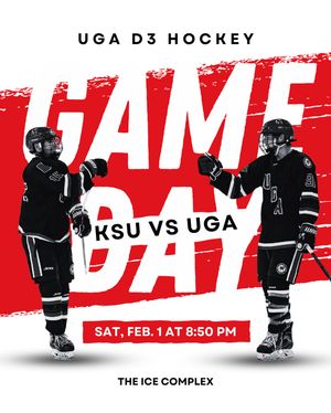 Image post by @ugahockeyd3 on Instagram