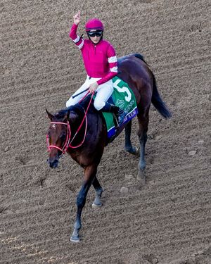 Image post by @breederscup on Instagram