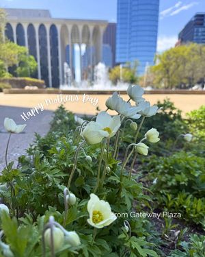 Image post by @mplsdtparks on Instagram
