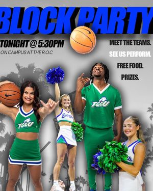Image post by @fgcu_cheer on Instagram