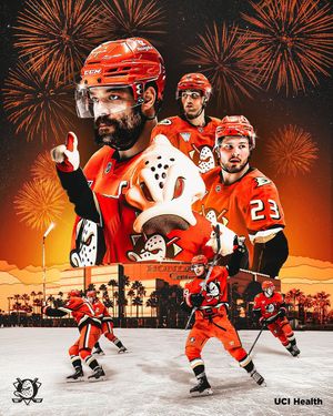Image post by @anaheimducks on Instagram