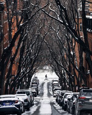 Image post by @mustdoboston on Instagram