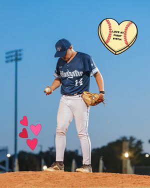 Image post by @ilmsharks on Instagram