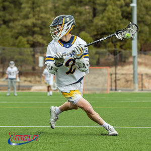 Image post by @the_mcla on Instagram