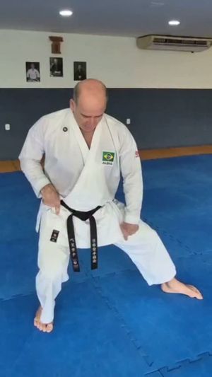 Video post by @karate.pestana.jka on Instagram