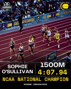 Image post by @therunnerscentral on Instagram