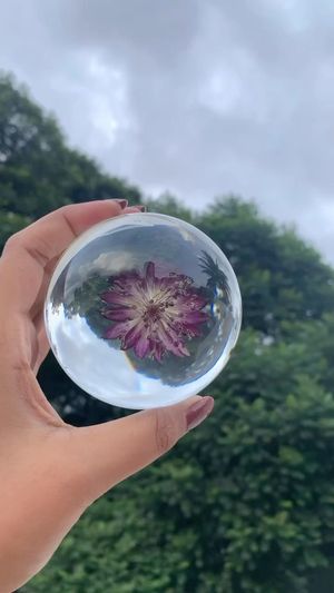 Video post by @leafyaffair on Instagram