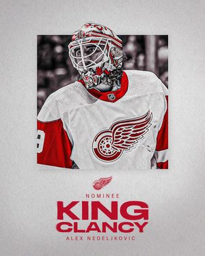 Image post by @hockeytowncares on Instagram