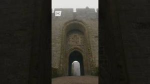 Video post by @s4c on YouTube