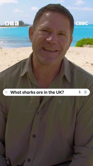 Video post by @cbbc on TikTok