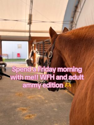 Video post by @kate.cassaidy on TikTok